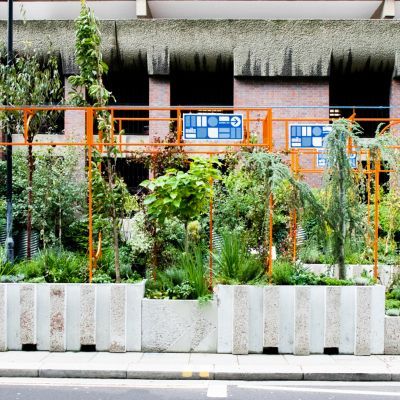 Culture Mile's garden at Moor Lane